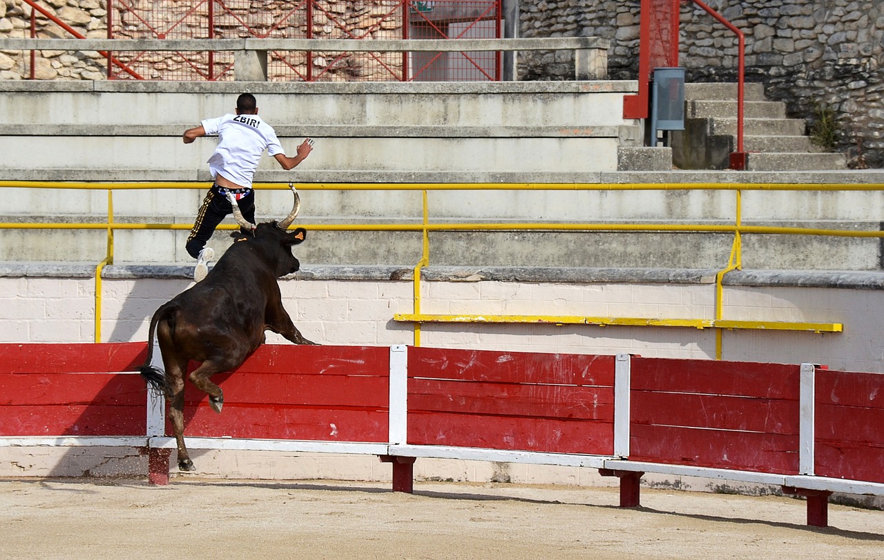 射术