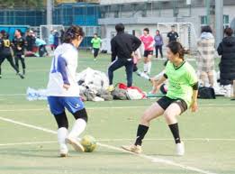 不可或缺的 不可或缺的