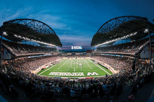 不仅有效化 不仅有效化