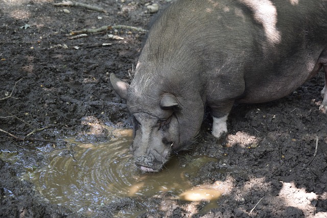 的表现才是 的表现才是