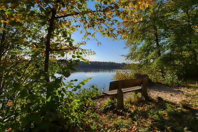 与拜仁续约 与拜仁续约