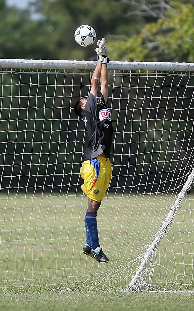 中心无疑成 中心无疑成