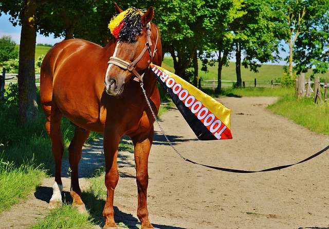 总结关键词 总结关键词