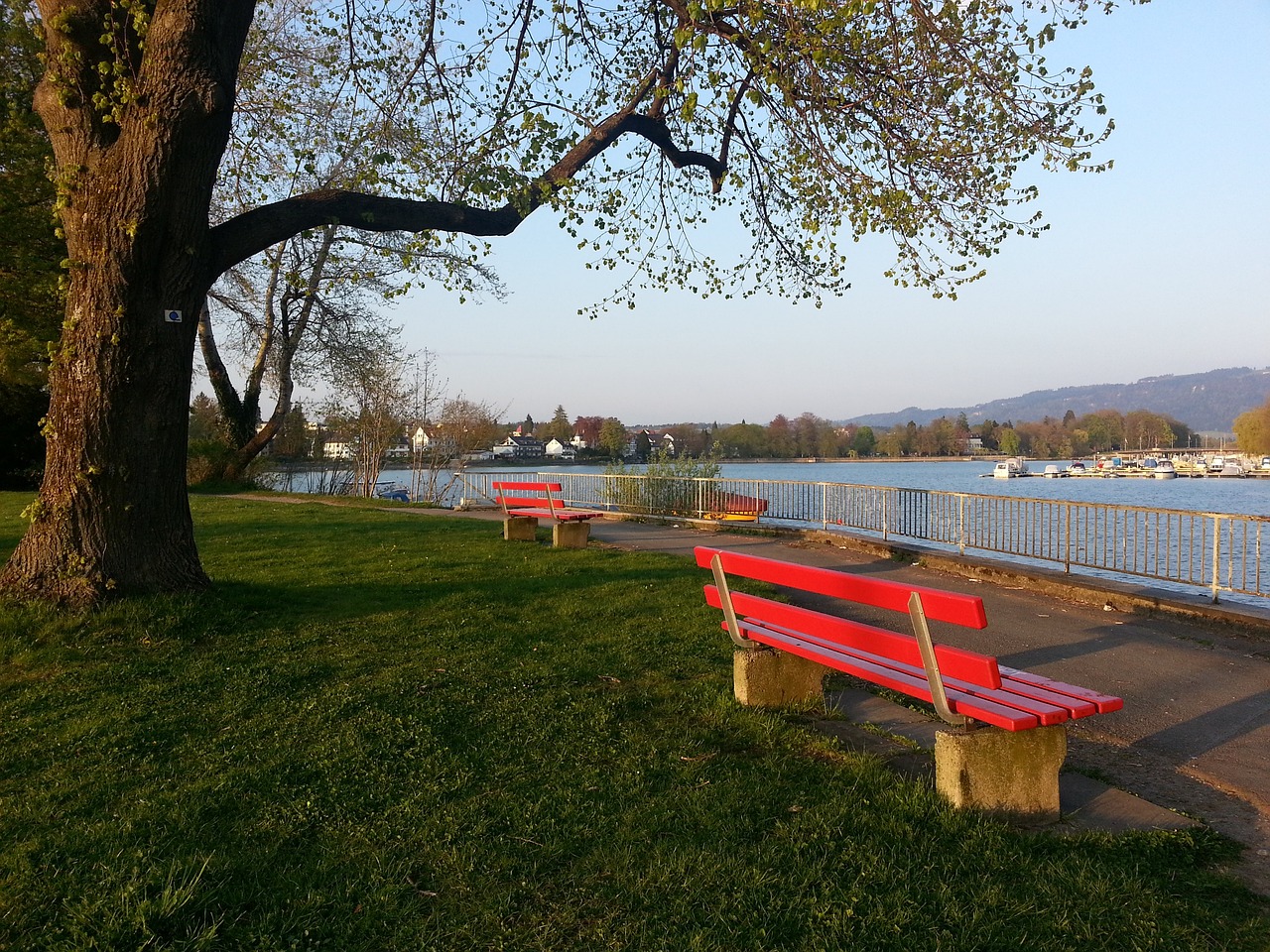 使得比赛过 使得比赛过